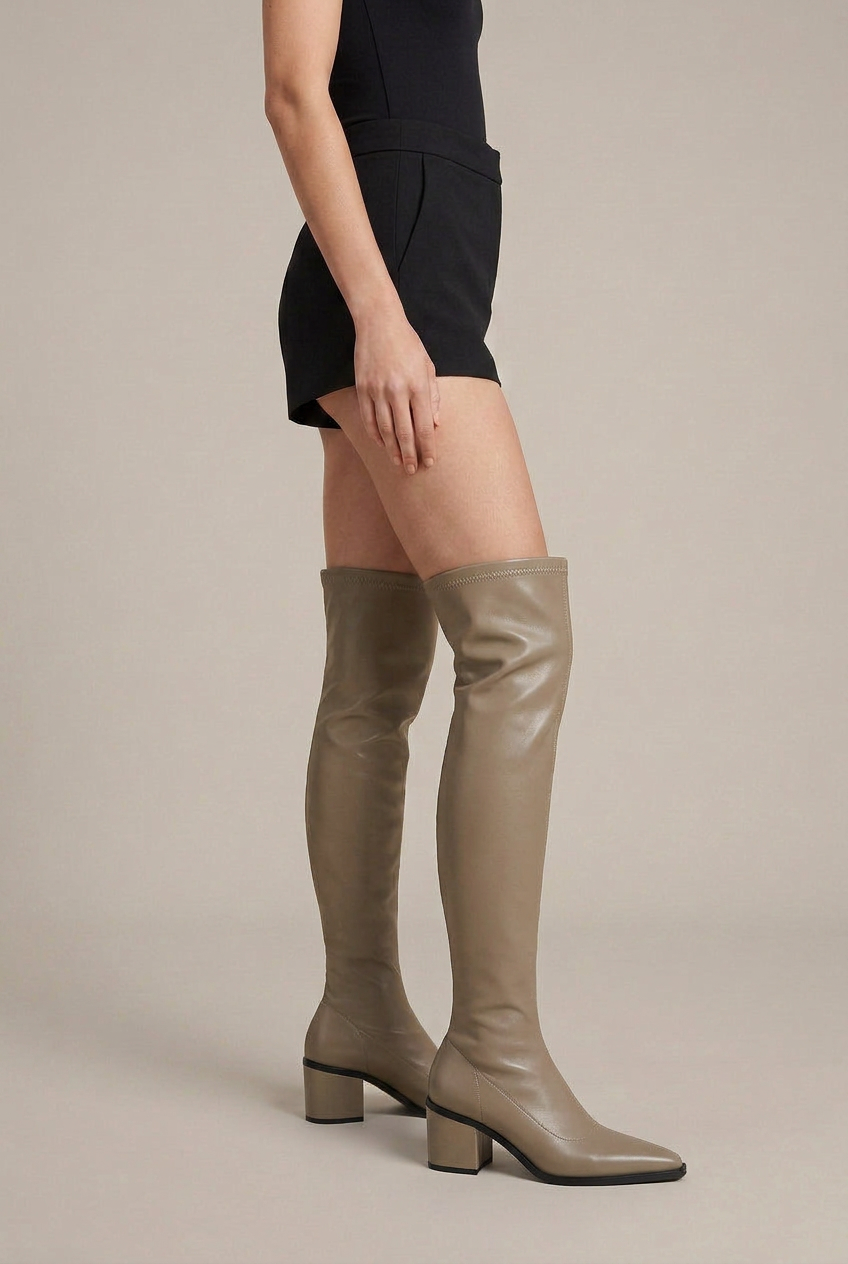 Reine | Women's Over-The-Knee Block Heel Boots – Pointed Toe Slip-On Tall Shaft Fashion Boots