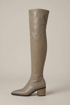 Women's Over-The-Knee Block Heel Boots – Pointed Toe Slip-On Tall Shaft Fashion Boots Halloway Reed
