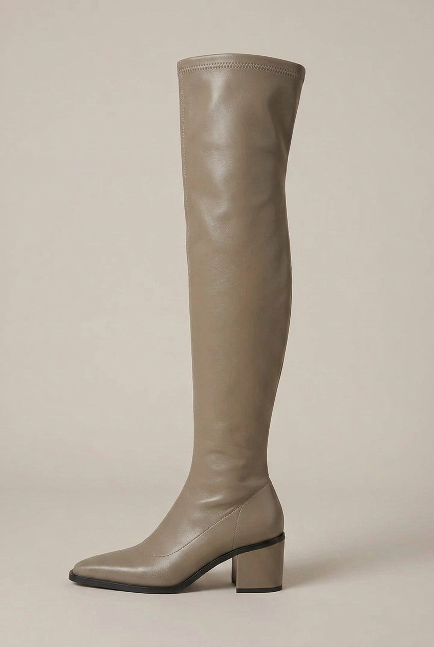 Women's Over-The-Knee Block Heel Boots – Pointed Toe Slip-On Tall Shaft Fashion Boots Halloway Reed