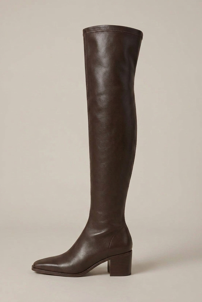 Women's Over-The-Knee Block Heel Boots – Pointed Toe Slip-On Tall Shaft Fashion Boots Halloway Reed