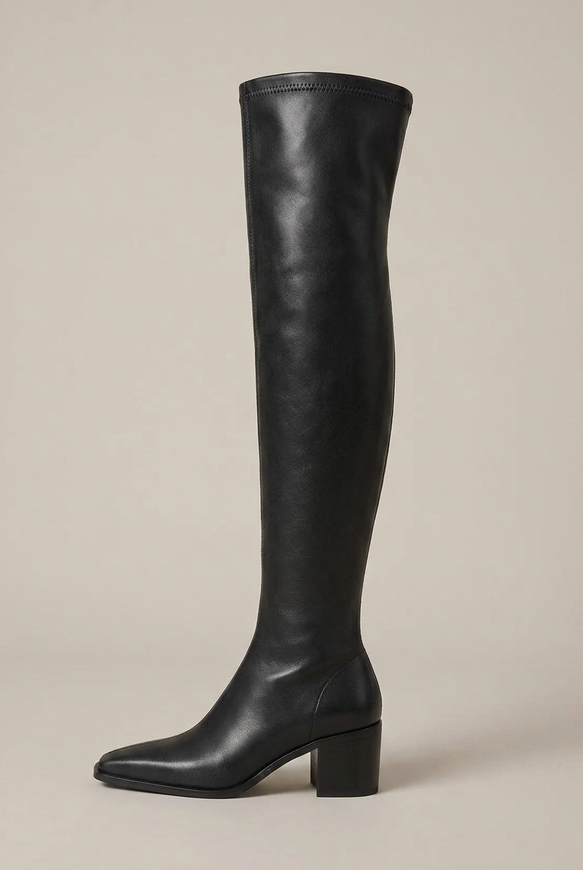 Women's Over-The-Knee Block Heel Boots – Pointed Toe Slip-On Tall Shaft Fashion Boots Halloway Reed