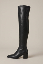 Women's Over-The-Knee Block Heel Boots – Pointed Toe Slip-On Tall Shaft Fashion Boots Halloway Reed